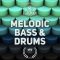 Beatrising Flagman Melodic Bass & Drums Samples [WAV] (Premium)