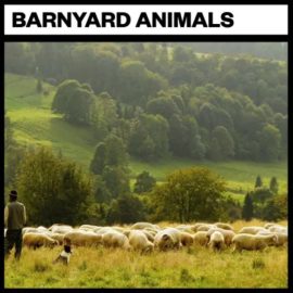 Big Room Sound Barnyard Animals [WAV] (Premium)