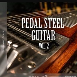 Image Sounds Pedal Steel Guitar 2 [WAV] (Premium)