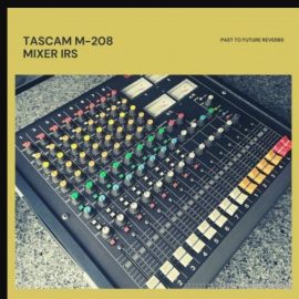 PastToFutureReverbs TASCAM M-208 8 Channel Analog Console (Premium)