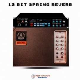 PastToFutureReverbs 12 Bit Spring Reverb AKG BX15 and AKAI S612 (Premium)