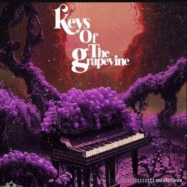 Sound of Milk and Honey Keys of the Grapevine [WAV] (Premium)