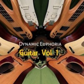 Studio Ghost Dynamic Euphoria Guitar Vol 1 [WAV] (Premium)