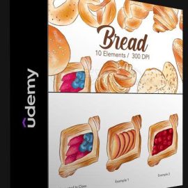 UDEMY – PROCREATE – ILLUSTRATE 5 TYPES OF BREAD (Premium)