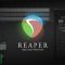 Cockos REAPER v6.81 / v6.35 [WiN, MacOSX]  (Premium)