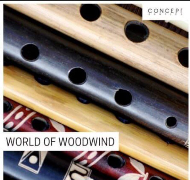 Concept Samples World Of Woodwind