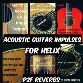 PastToFutureReverbs Acoustic Guitar IR’s for Helix BUNDLE! Bonus D-45! (Premium)