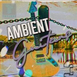 Toolbox Samples Ambient Guitars Vol 3 [WAV] (Premium)