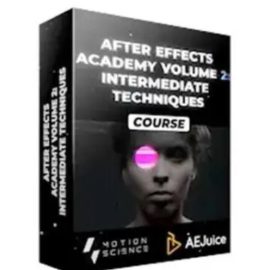 After Effects Academy Volume 2 by Cameron Pierron (Premium)