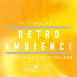 Tom Wolfe Retro Ambience for Valhalla VintageVerb (Premium)