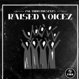 YnK Audio Raised Voicez (Premium)