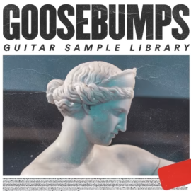 Polar Beats Goosebumps Guitar Sample Pack (Premium)