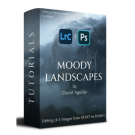 David Aguilar – Moody Landscapes (Premium)