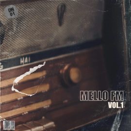Dusty Notes Music Library Mello FM Vol.1 (Compositions and Stems) (Premium)
