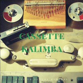 PastToFutureReverbs Cassette Kalimba [KONTAKT] (Premium)