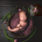 Sweet Soul Studios – May Newborn (Premium)