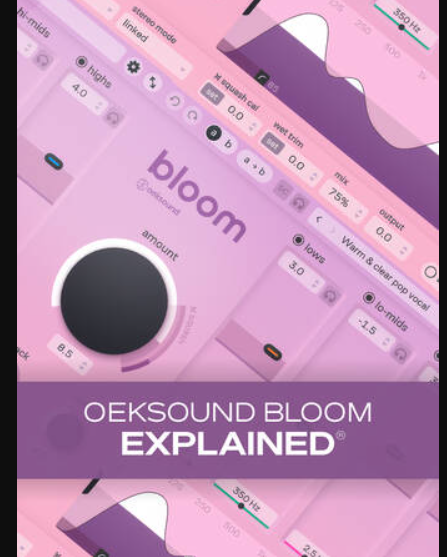 Groove3 oeksound bloom Explained TUTORiAL