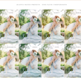 Jeanna Hayes Light and Airy Presets (Premium)