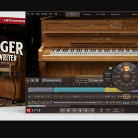 Toontrack Singer-Songwriter EKX v1.0.0 (Premium)
